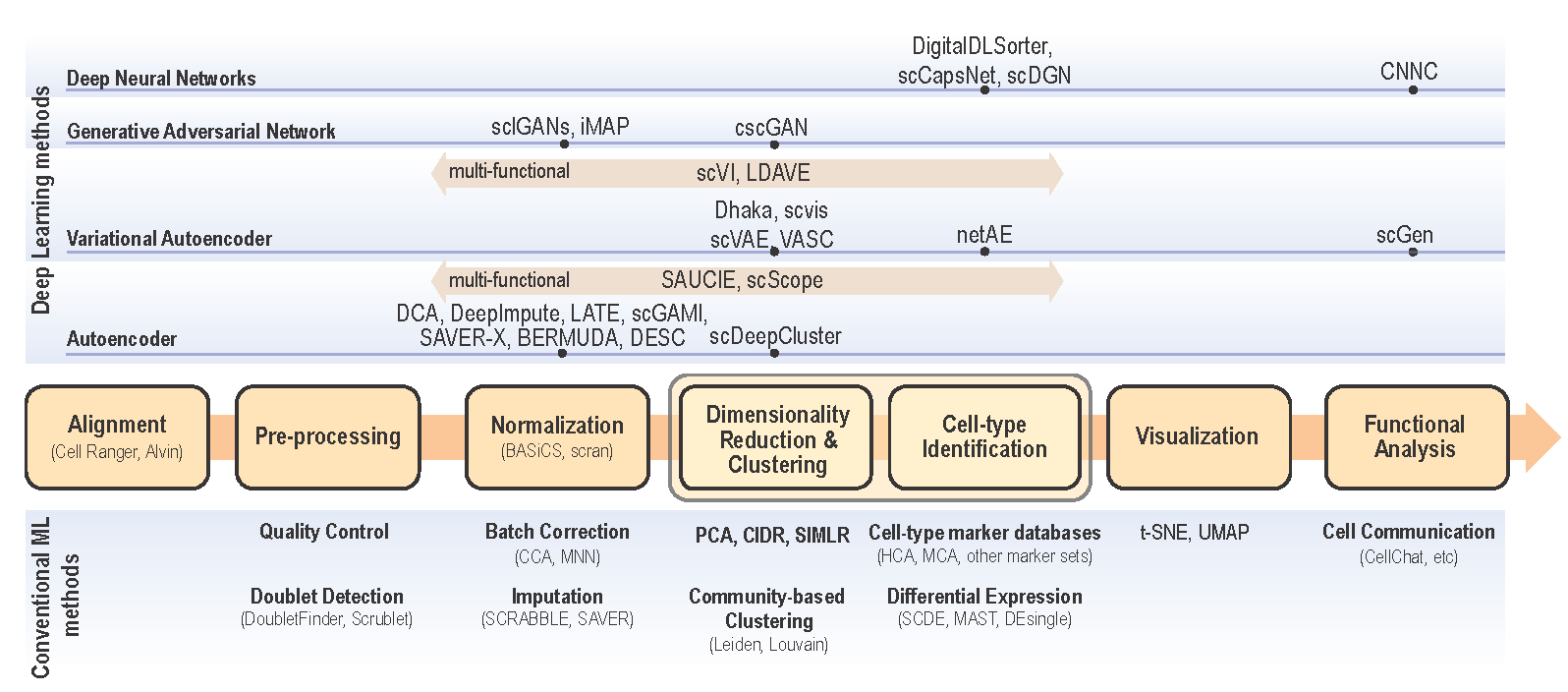 Single cell data analysis steps for both conventional ML methods (bottom) and DL methods (top). Depending on the input data and analysis objectives, major scRNA-se analysis steps are illustrated in the center flow chart. The convential ML approaches along with optional analysis modules are presented below each analysis step. Deep learning approaches are categorized as neural network models (DNN, CNN, CapsNet, and DANN), Generalive Adversarial Network (GAN), Variational Autoencoder, and Autoencoder. For each DL approach, optional algorithms are listed on top of each step in the pipeline.