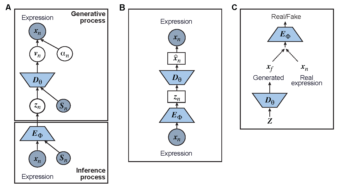 Graphical models of the surveyed DL models including A) Variational Autoencoder (VAE); B) Autoencoder (AE); and C) Generative Adversarial Network (GAN)